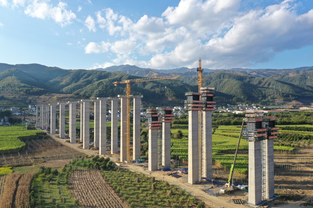 1768275333162617.jpg 2.jpg